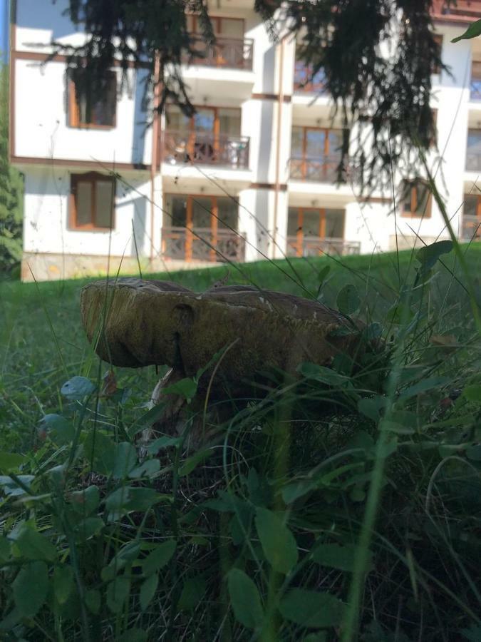 Family Apartment "Cosy Nature" Smolyan Exterior foto